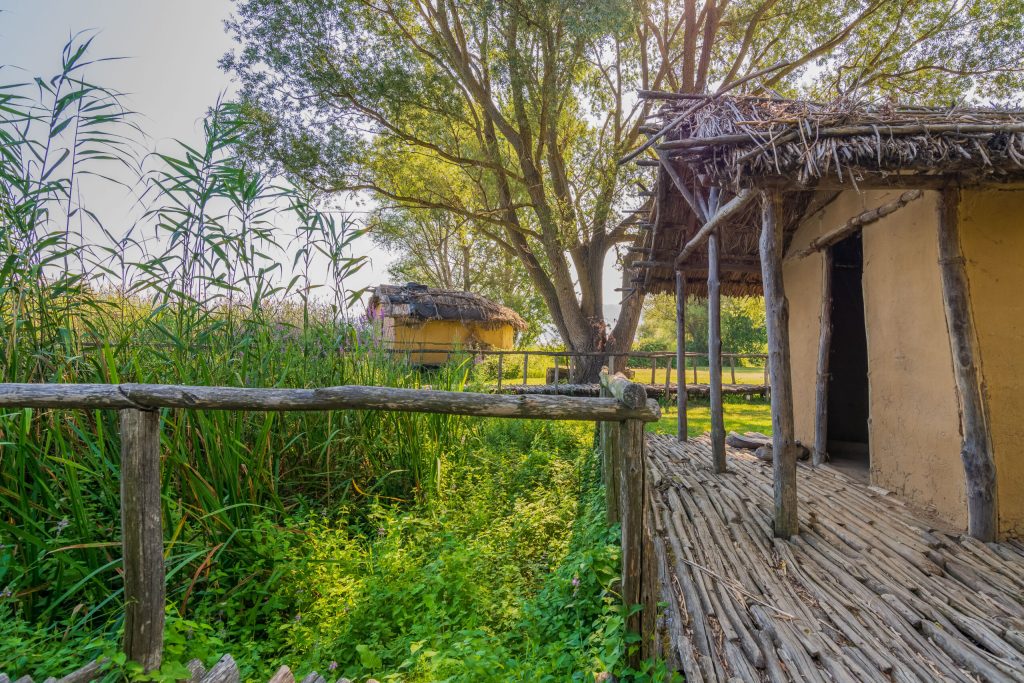 Το Δισπηλιό: Ένας θησαυρός της προϊστορικής Ελλάδας (βίντεο)