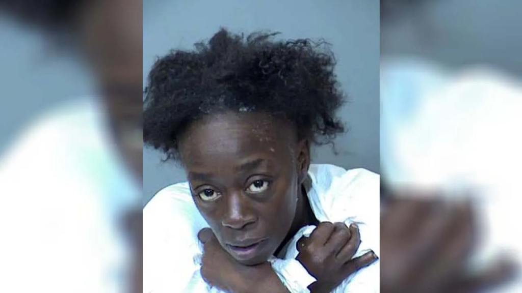 Φρίκη στις ΗΠΑ: Συνελήφθη μητέρα στο Φοίνιξ που σκότωσε την κόρη της και πέταξε το πτώμα σε κάδο απορριμάτων (φώτο)