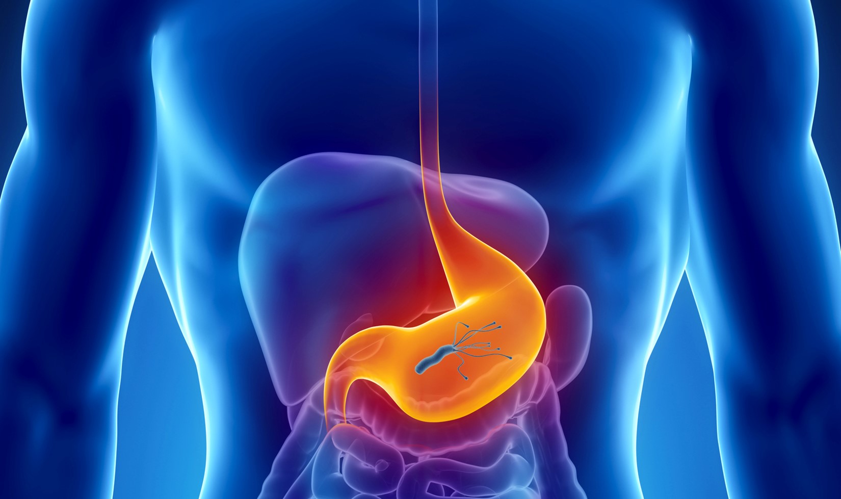 Πώς συνδέεται με την άνοια το ελικοβακτηρίδιο του πυλωρού