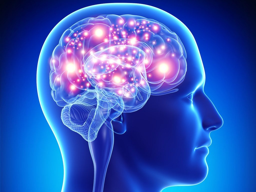 Πώς να κρατήσετε «σε φόρμα» τον εγκέφαλό σας