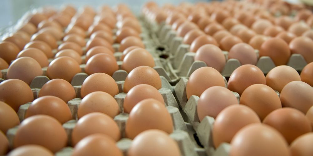 Πώς γίνονται πιο υγιεινά τα αυγά: Ποιο είναι το λάθος που μπορεί να κάνετε στο μαγείρεμα 