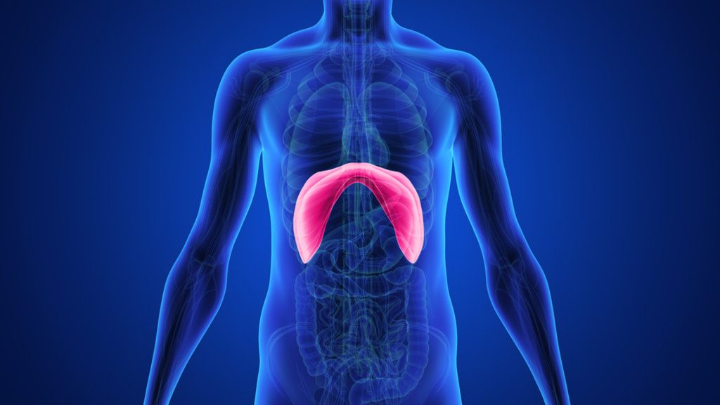 Διαφραγματοκήλη: Τα αίτια, τα συμπτώματα και η αντιμετώπιση