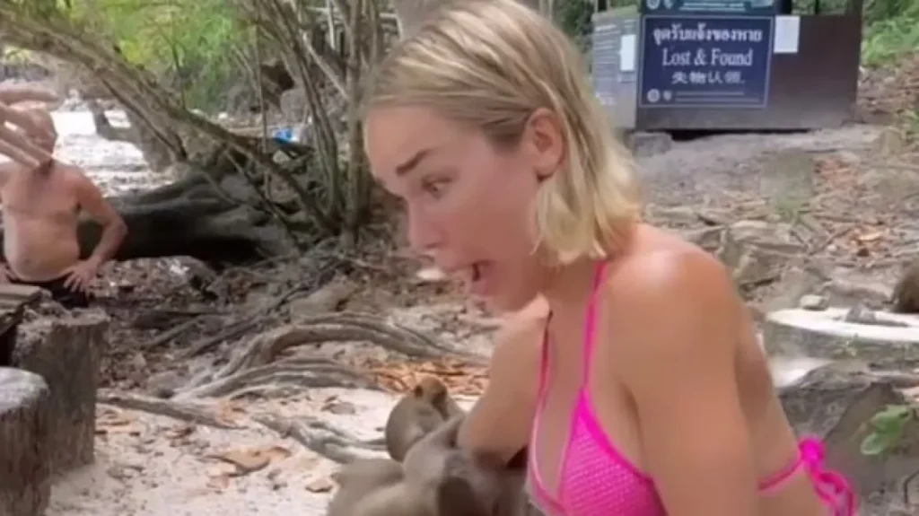 Μοντέλο από τη Γερμανία δέχθηκε επίθεση από μαϊμούδες στην Ταϊλάνδη – Της έγινε αντιτετανικός ορός και εμβόλια για λύσσα