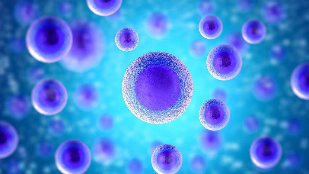 Επιστήμονες στην Ιαπωνία εντόπισαν πρωτεΐνη που αποτρέπει την κυτταρική γήρανση
