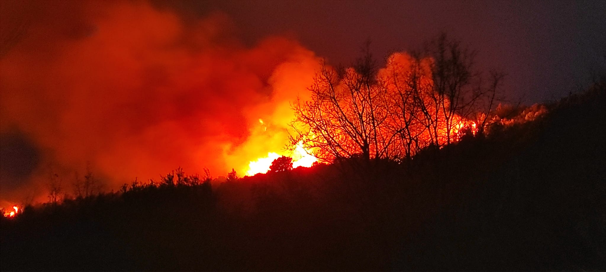 Ηλεία: Φωτιά έχει ξεσπάσει στο Καπελέτο – Οι φλόγες είναι ορατές από την Αχαΐα