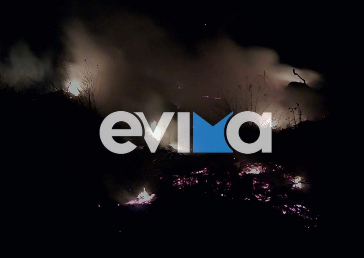 Εύβοια: Δύο φωτιές ξέσπασαν ταυτόχρονα μέσα σε οικισμούς