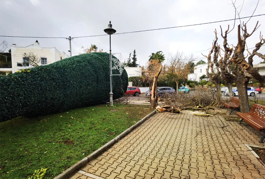 Κακοκαιρία: Το ισχυρό μπουρίνι έριξε το χριστουγεννιάτικο δέντρο στη Φιλοθέη (φωτο) 
