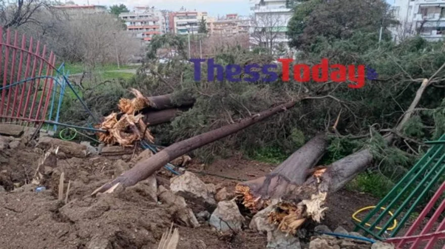 Θεσσαλονίκη: Οι άνεμοι ξήλωσαν καγκελόπορτα σχολείου – Καταπλακώθηκαν τρία ΙΧ (φωτο) 