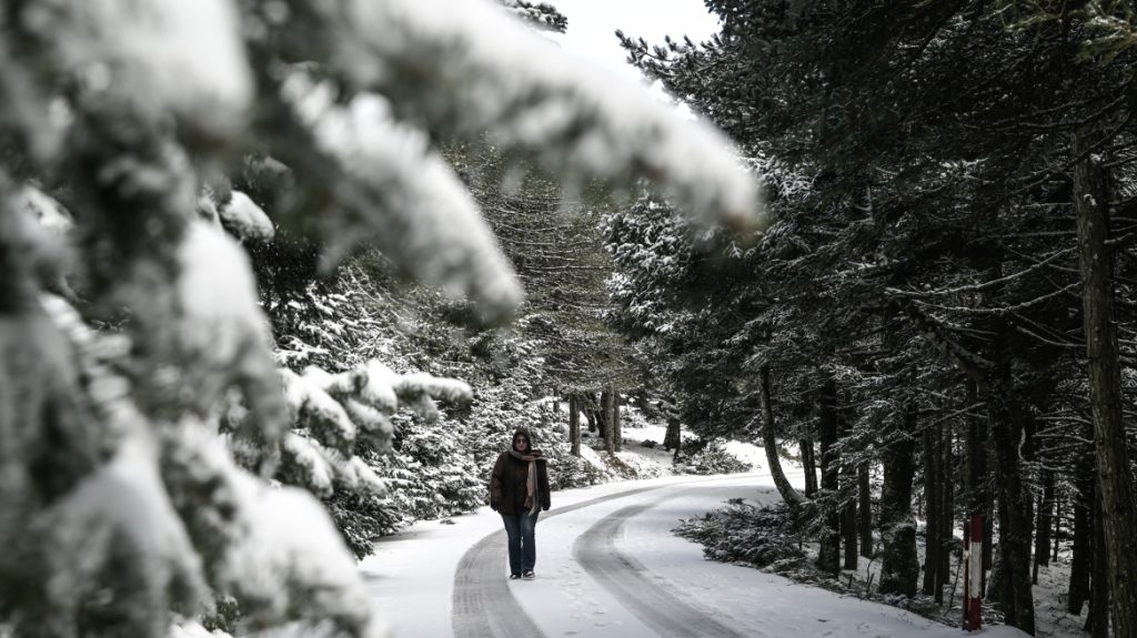 Χιόνια στην Πάρνηθα: Διακοπή κυκλοφορίας από το τελεφερίκ – Με αλυσίδες τα αυτοκίνητα 