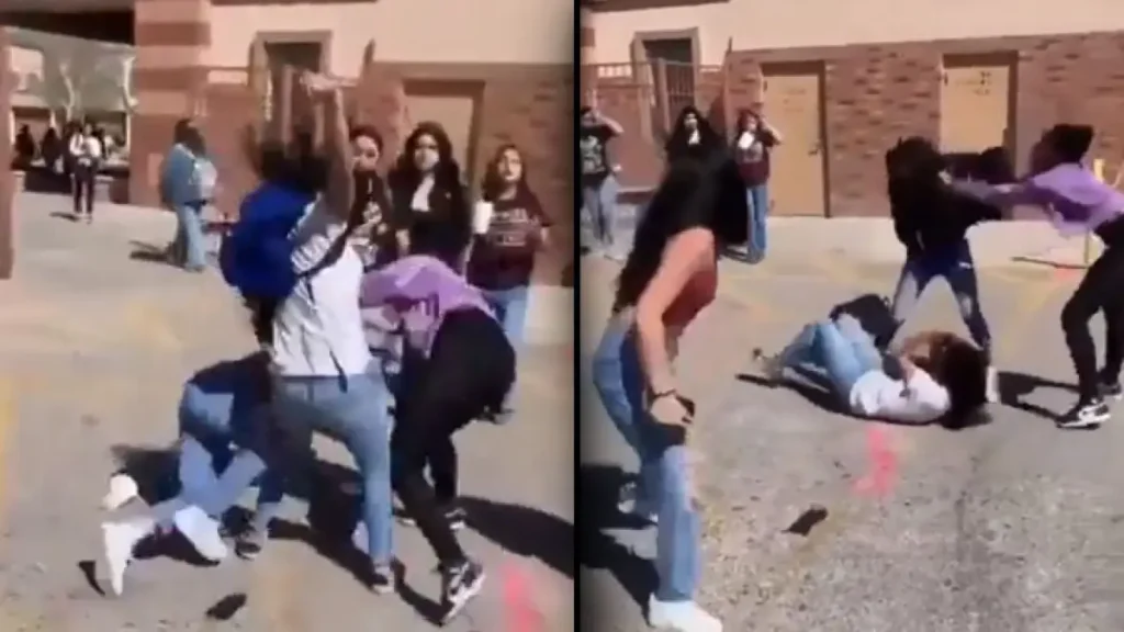 Bίντεο: Όταν τσακώνονται τα κορίτσια μεταξύ τους ο καβγάς γίνεται… dogfight