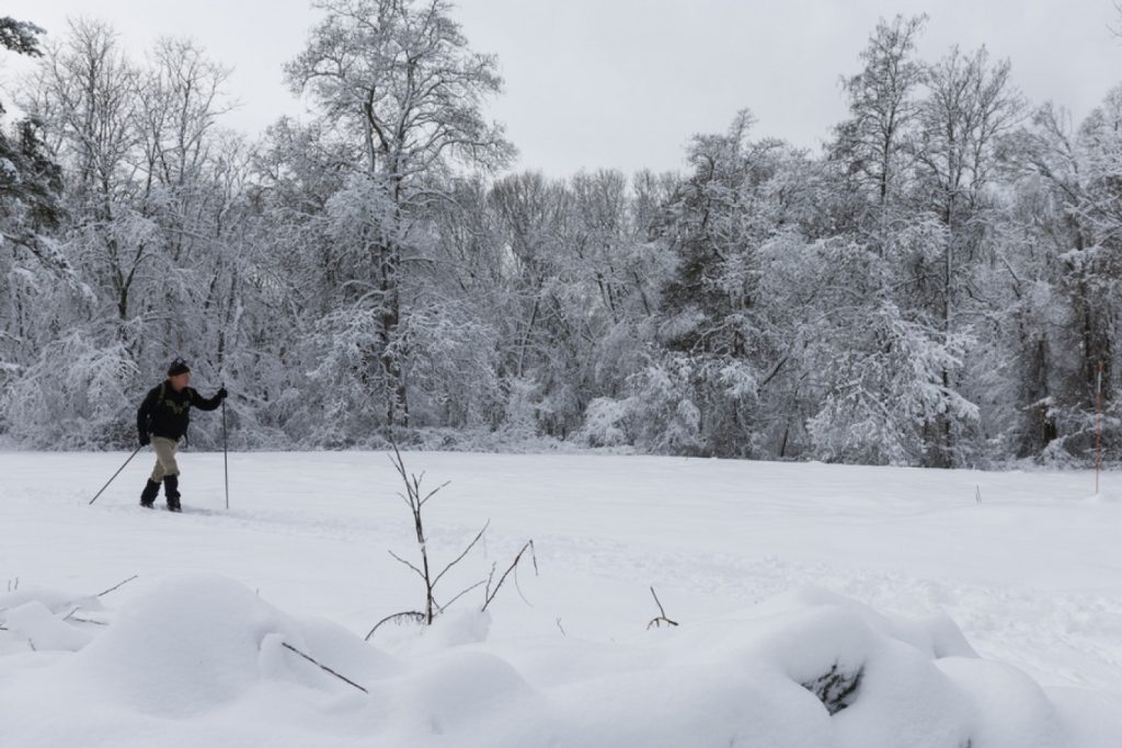 ΗΠΑ: Χωρίς ρεύμα περίπου 250.000 καταναλωτές λόγω καταιγίδας (βίντεο)