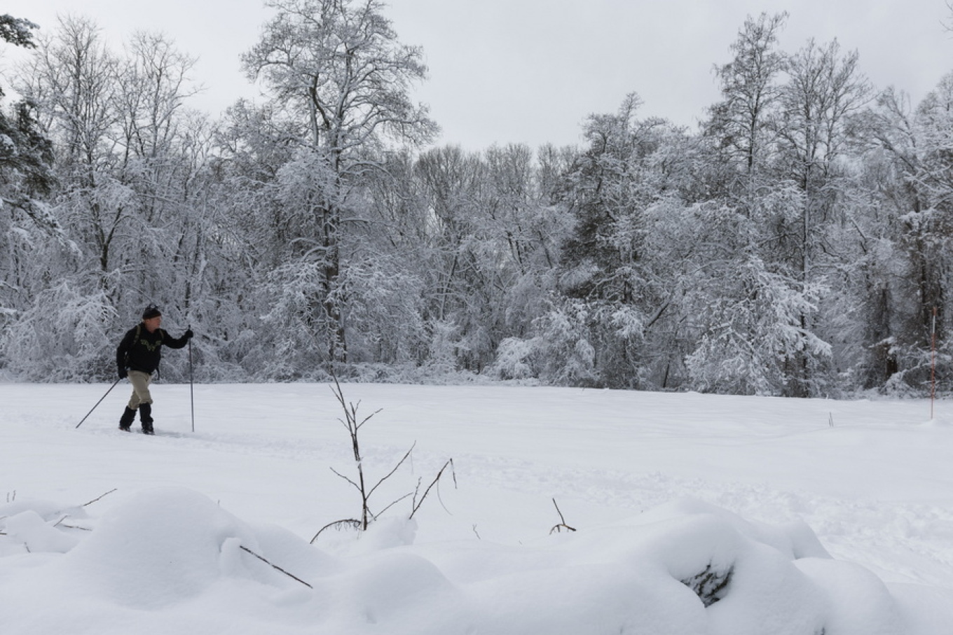 ΗΠΑ: Χωρίς ρεύμα περίπου 250.000 καταναλωτές λόγω καταιγίδας (βίντεο)