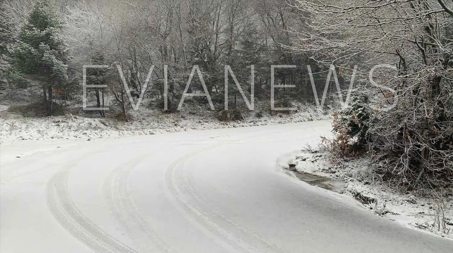 Στα λευκά «ντύθηκαν» τα ορεινά της Εύβοιας – «Μπόρες» από νιφάδες ακόμη και σε χαμηλά υψόμετρα