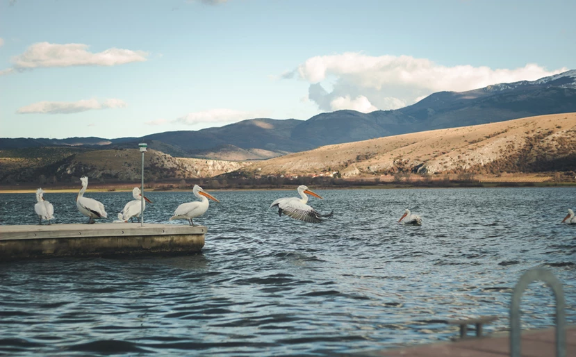 Λίμνη Βεγορίτιδα: Ο επίγειος υδάτινος παράδεισος που «ξελογιάζει» όποιον την επισκεφθεί (φώτο)
