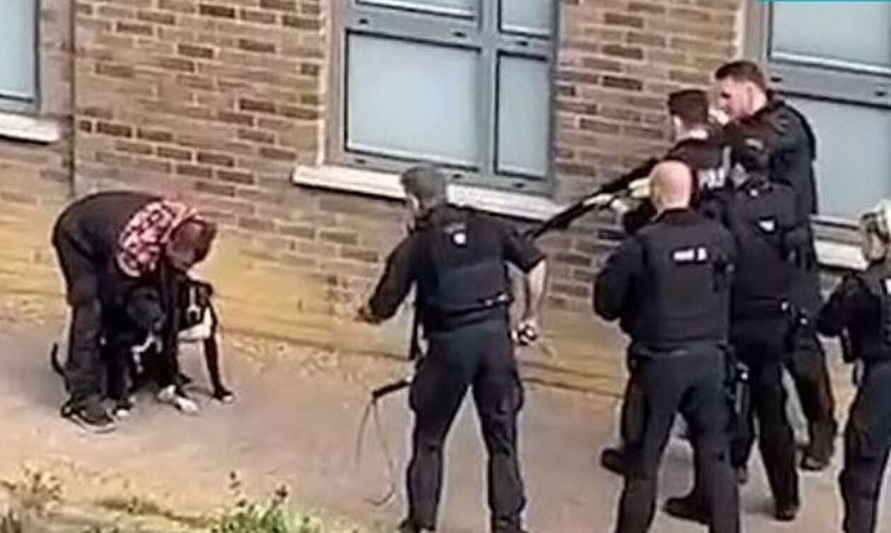 Αστυνομικοί σκότωσαν σκύλο σε κεντρικό δρόμο στο Λονδίνο (βίντεο) 