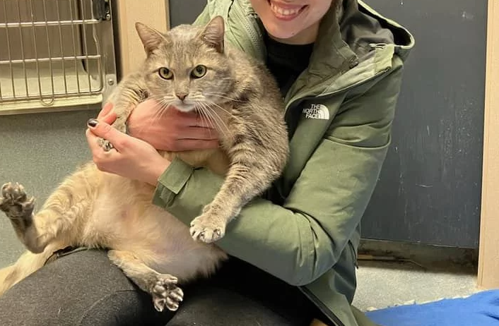 Η γάτα-γίγας που έχει γίνει viral – Ζυγίζει 13 κιλά (φώτο)