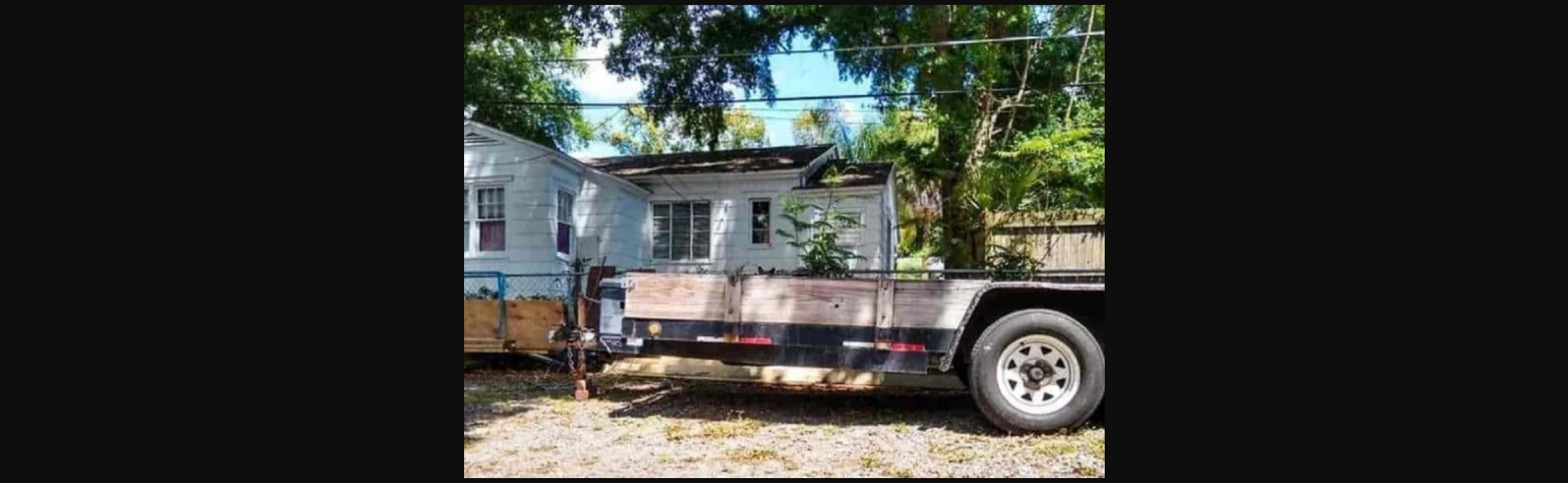 Νέα οπτική ψευδαίσθηση «τρελαίνει» το διαδίκτυο: Μπορείς να εντοπίσεις την γάτα σε 9 δευτερόλεπτα