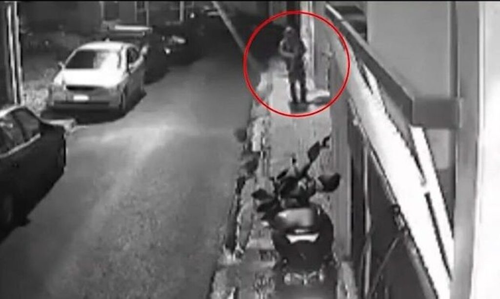 Οκτώ χρόνια φυλάκιση χωρίς αναστολή για τον 33χρονο που σκότωνε γάτες στον Βοτανικό