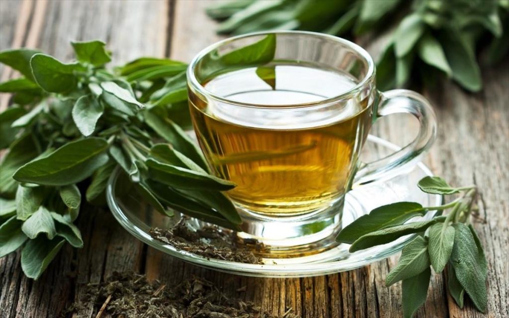 Φασκόμηλο: Γιατί θεωρείται το βότανο της αθανασίας;