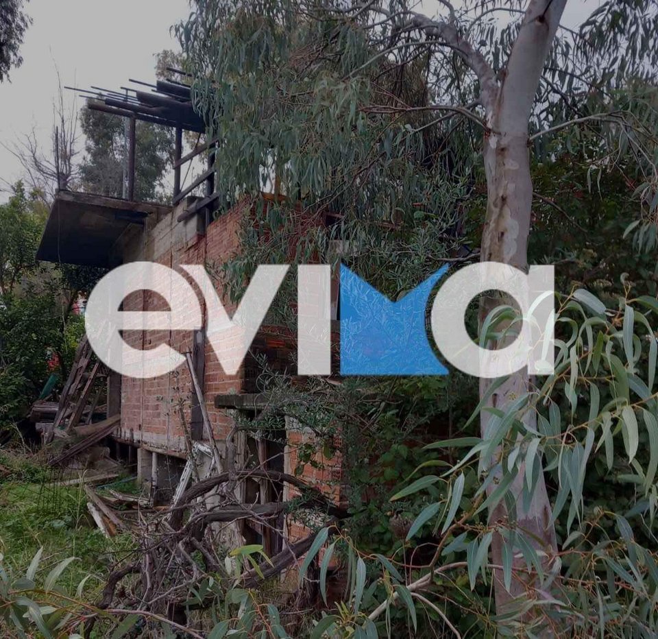 Εύβοια: Σπίτι τυλίχθηκε στις φλόγες (φωτο) 