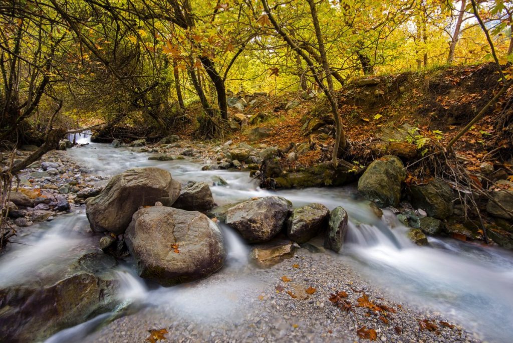 Πλανητέρο: Το όμορφο χωριό της Πελοποννήσου που είναι χτισμένο πάνω από το πλατανοδάσος των πηγών του Αροάνιου ποταμού
