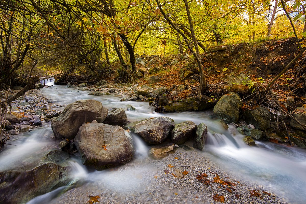 Πλανητέρο: Το όμορφο χωριό της Πελοποννήσου που είναι χτισμένο πάνω από το πλατανοδάσος των πηγών του Αροάνιου ποταμού