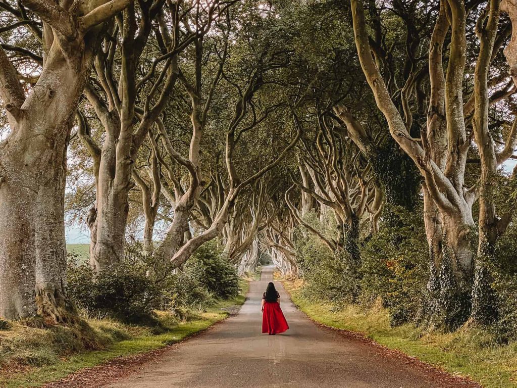 Βρετανία: Η κακοκαιρία κατέστρεψε τα διάσημα δέντρα της σειράς  «Game of Thrones»