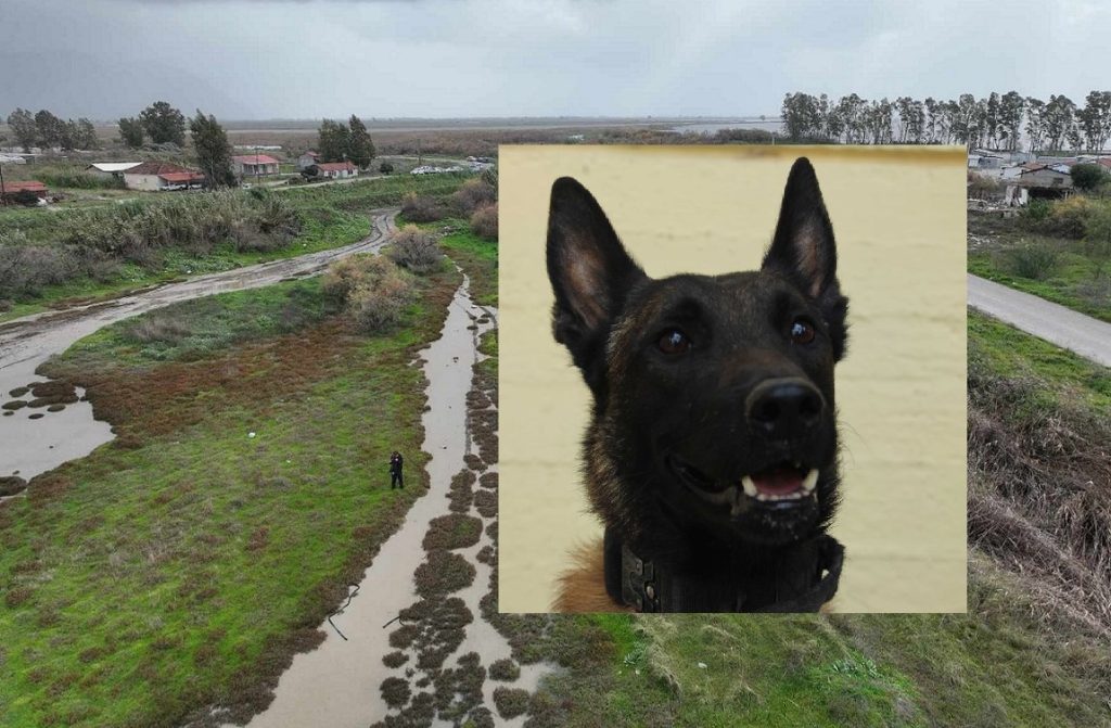 Μεσολόγγι – Εκπαιδευτής Echo: «Τίποτα δεν αντικαθιστά τη μύτη ενός εκπαιδευμένου σκύλου»