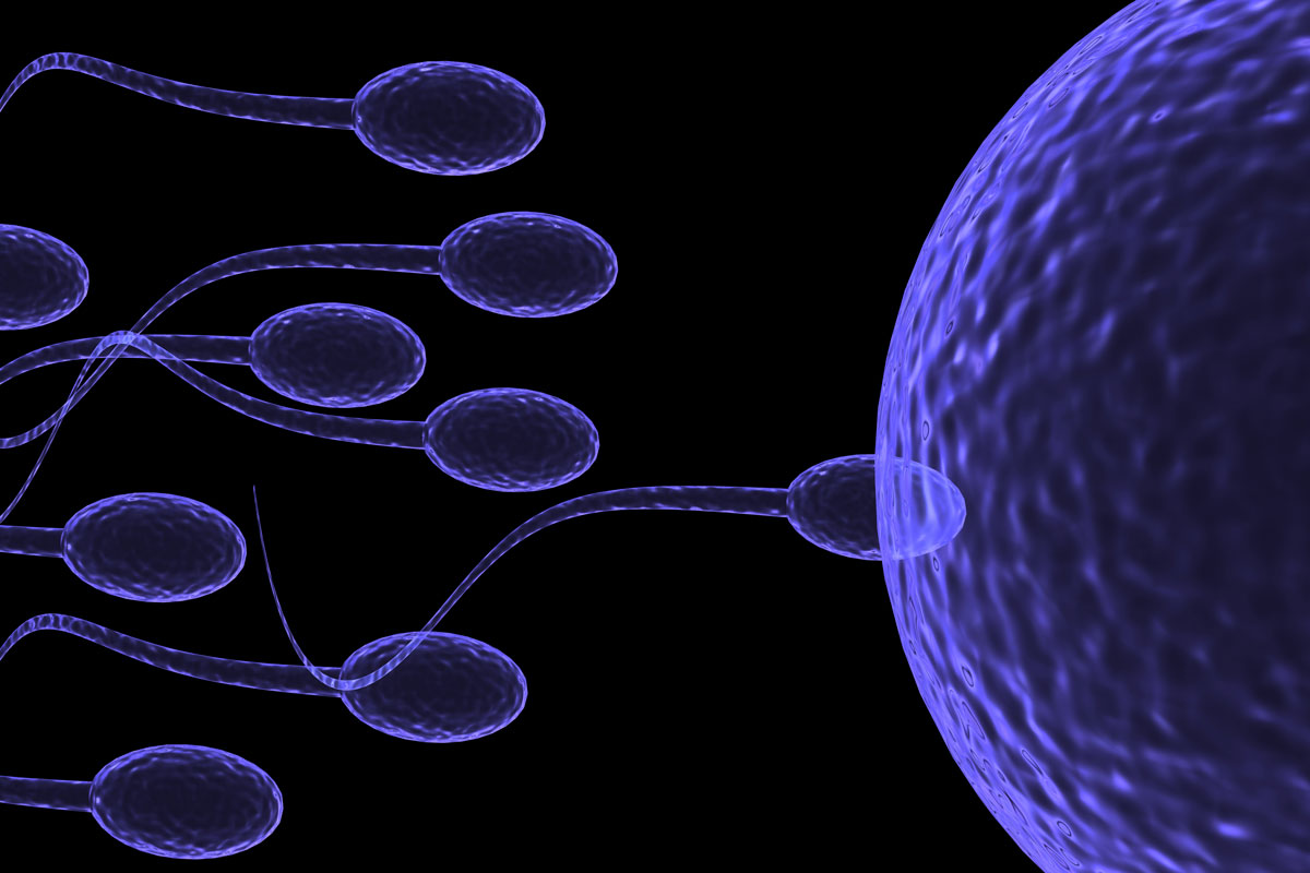 Δείτε πώς το μικροβίωμα σπέρματος επηρεάζει την ανδρική γονιμότητα