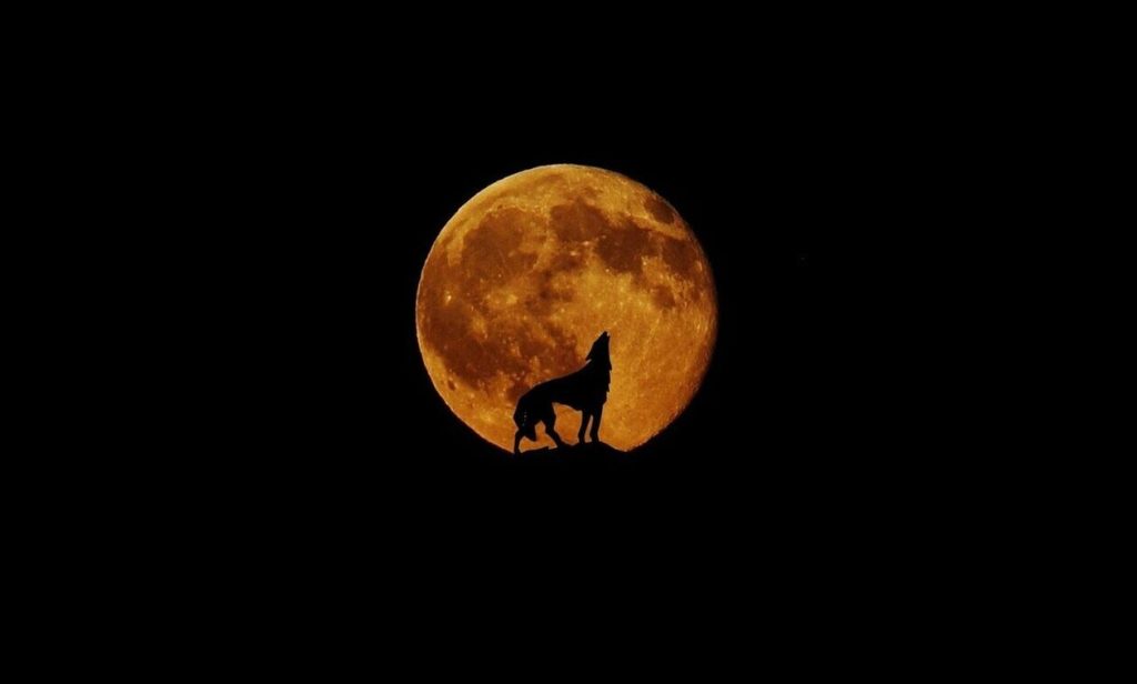 «Φεγγάρι του Λύκου»: Αύριο η πρώτη πανσέληνος του 2024 – Για ποιο λόγο ονομάζεται έτσι