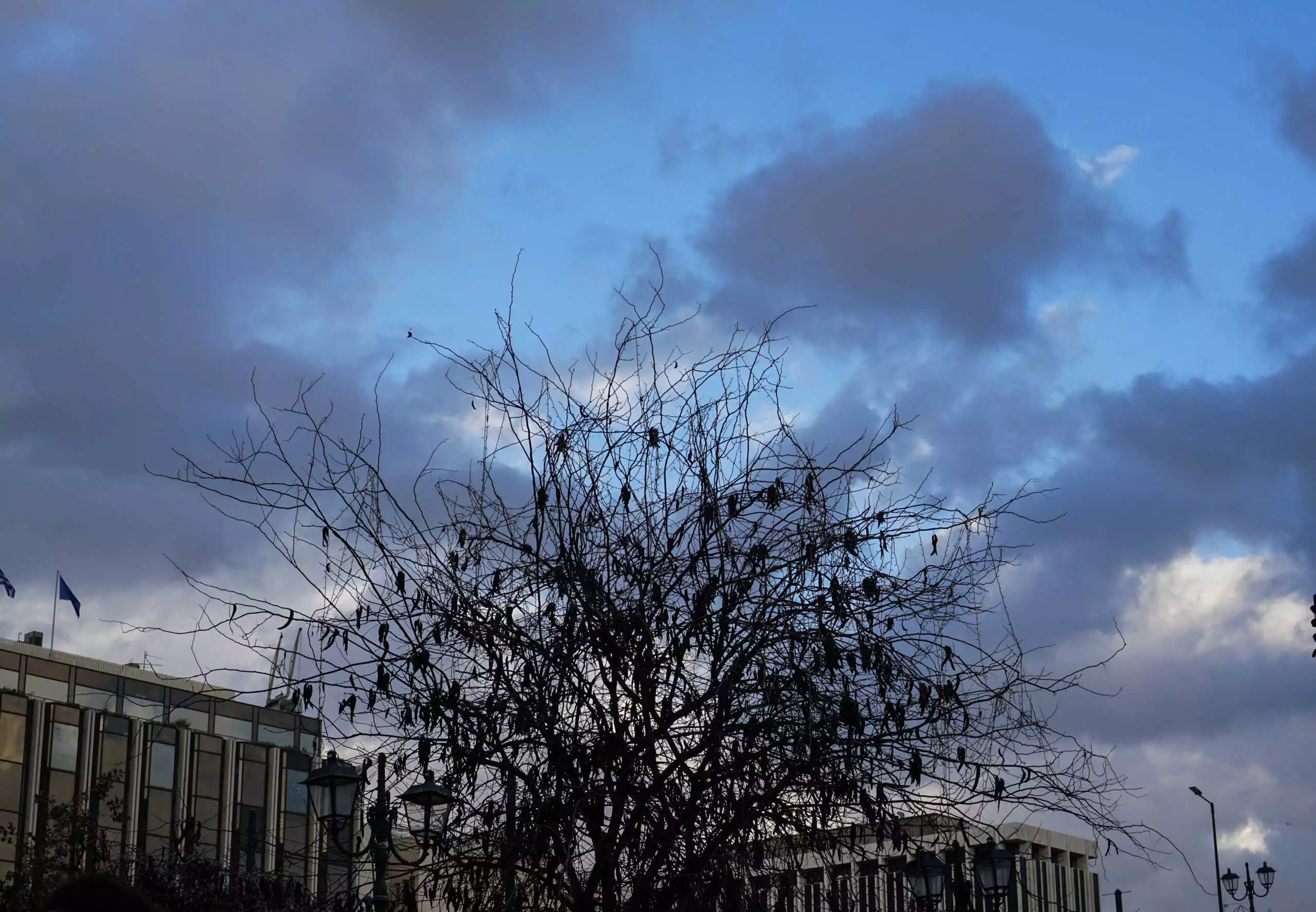 Καιρός: Ανοιξιάτικος πάλι σήμερα με θερμοκρασία έως 19 βαθμούς