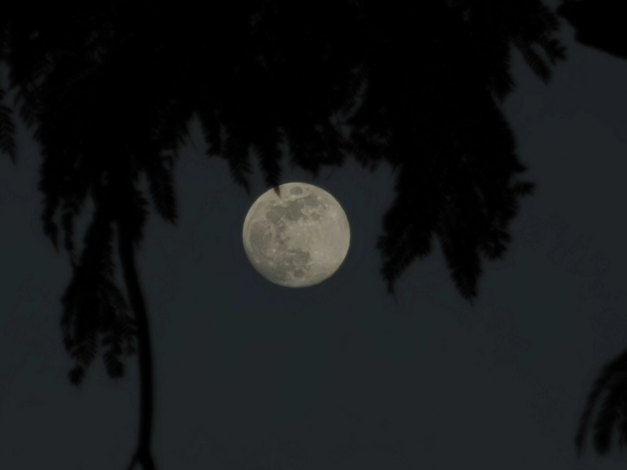 «Μαγικές» εικόνες από την πρώτη πανσέληνο του 2024 – Δείτε «το Φεγγάρι του Λύκου» (φωτο)