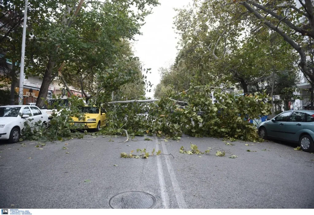 Κακοκαιρία στην Θεσσαλονίκη: Πτώσεις δέντρων και παρασύρσεις κάδων λόγω θυελλωδών ανέμων (βίντεο)