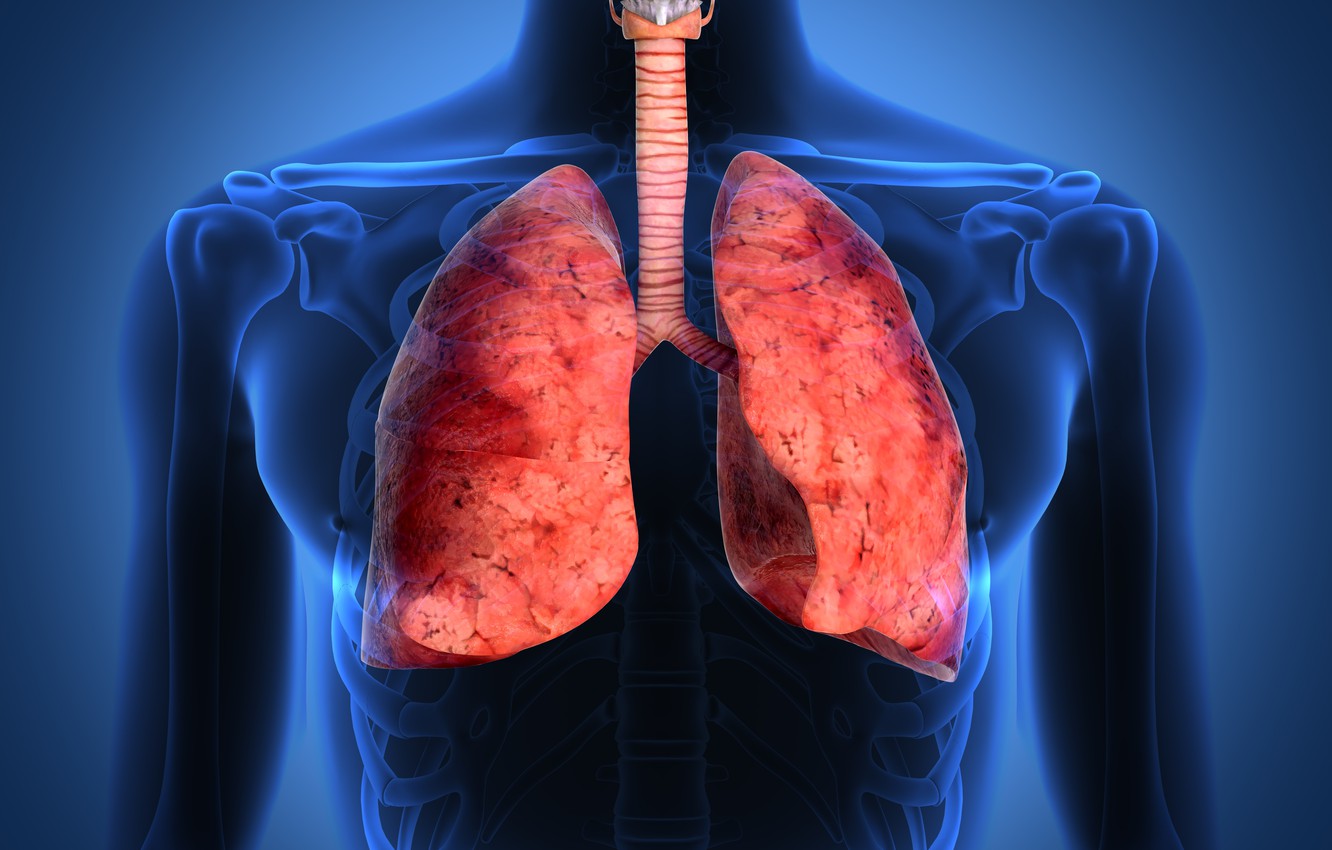 «Πνεύμονες ποπ κορν»: Δείτε ποια είναι τα συμπτώματα της αποφρακτικής βρογχιολίτιδας