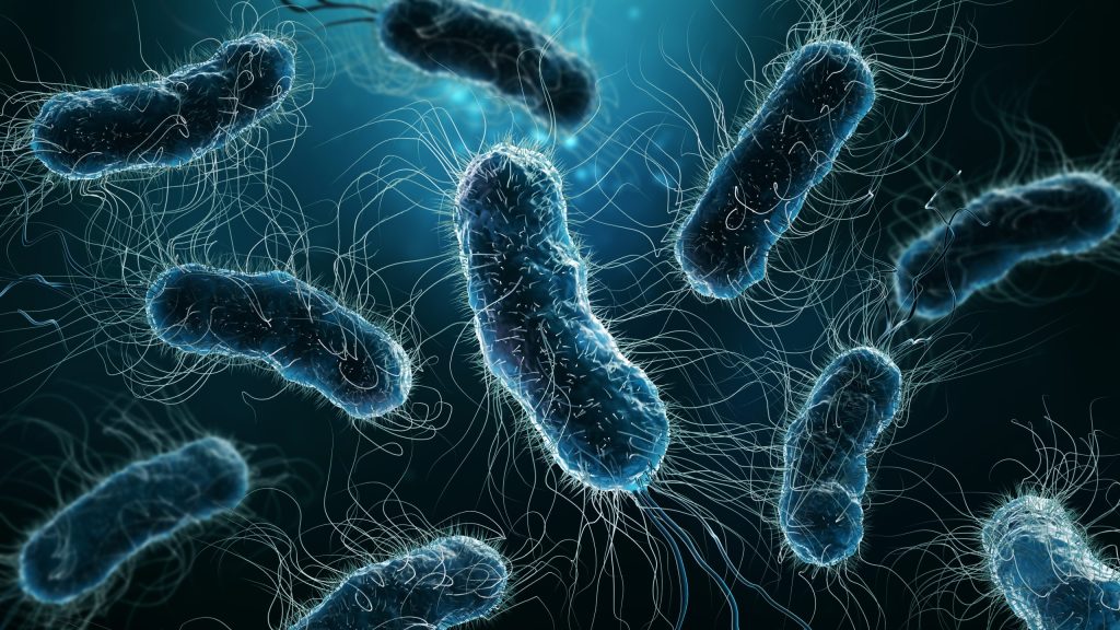 E.coli: Εντοπίστηκε νέο πιο ανθεκτικό στέλεχος του βακτηρίου