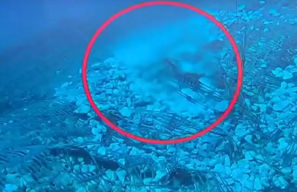 Χωρίς νερό για 10η μέρα οι κάτοικοι στην Αίγινα – «Για πολλοστή φορά συμβαίνει το ίδιο πράγμα»