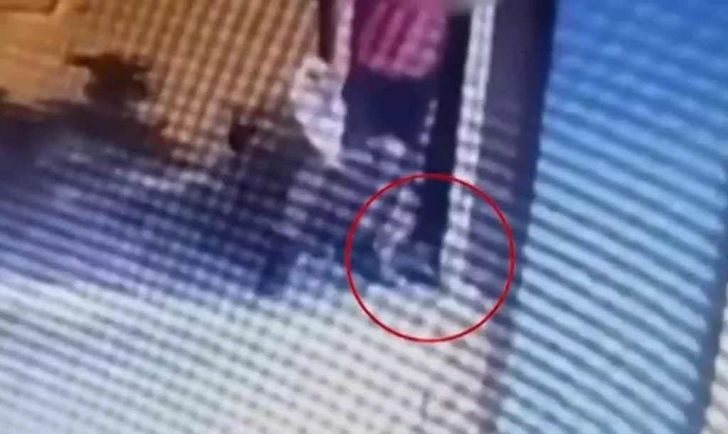 Απαλλάχθηκε ο 42χρονος που είχε κατηγορηθεί πως πάτησε και σκότωσε γάτα στη Θεσσαλονίκη 