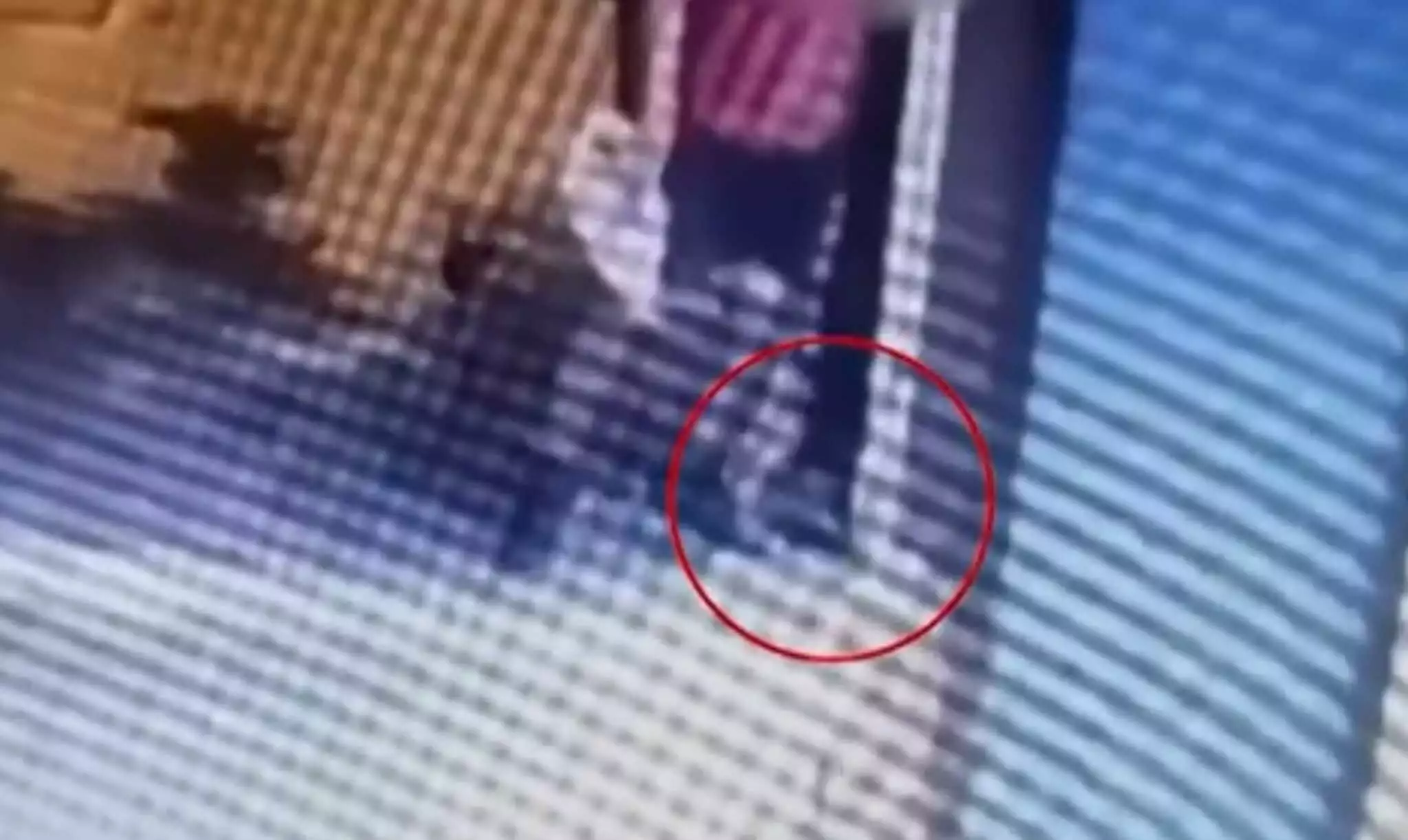 Απαλλάχθηκε ο 42χρονος που είχε κατηγορηθεί πως πάτησε και σκότωσε γάτα στη Θεσσαλονίκη