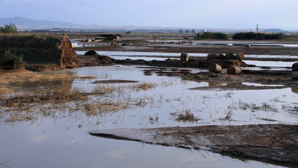 Άνοιξε ο δεύτερος κύκλος της πρώτης αρωγής στην πλατφόρμα arogi.gov.gr για τους αγρότες