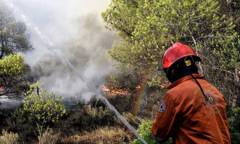 Πυρκαγιά ξέσπασε στο Νεοχώρι Φθιώτιδας – Σηκώθηκε αεροσκάφος