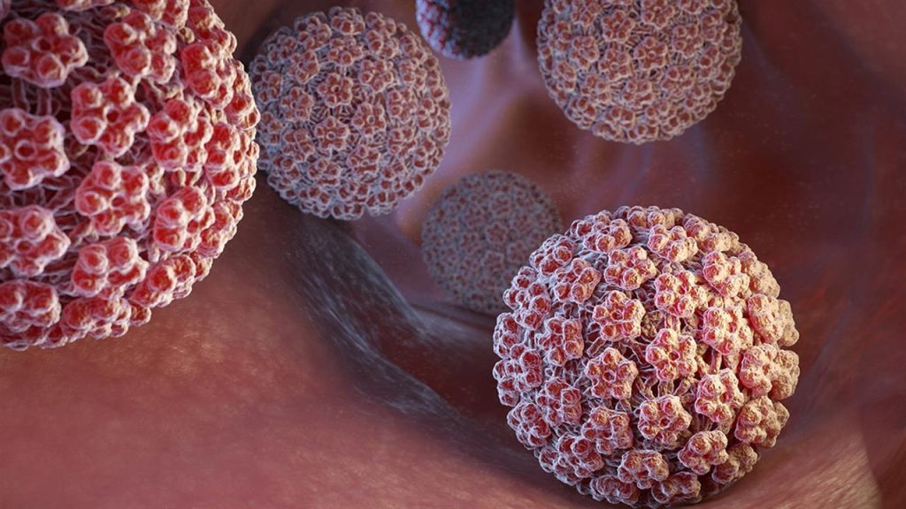 Νέα μελέτη αποκαλύπτει: Ο ιός HPV δεν προκαλεί μόνο καρκίνο αλλά και καρδιοπάθεια στις γυναίκες