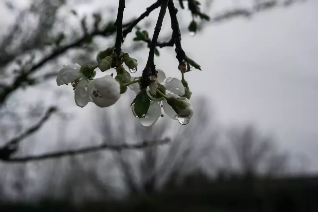 Καιρός: Ζέστη με τοπικές βροχές και σποραδικές καταιγίδες σήμερα