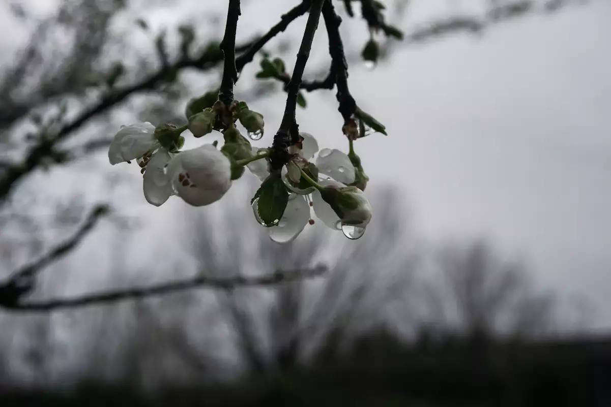 Καιρός: Ζέστη με τοπικές βροχές και σποραδικές καταιγίδες σήμερα