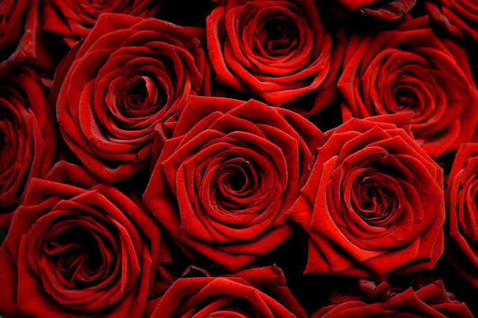 Άγιος Βαλεντίνος: Η ακρίβεια «χτυπά» ακόμα και τον έρωτα – 500 ευρώ για μια ανθοδέσμη με 100 τριαντάφυλλα