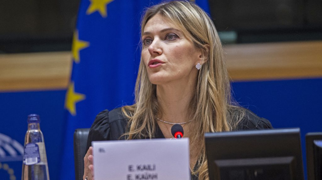 Εύα Καϊλή: «Δυστυχώς δεν θα είναι υποψήφια στις ευρωεκλογές» λέει ο δικηγόρος της