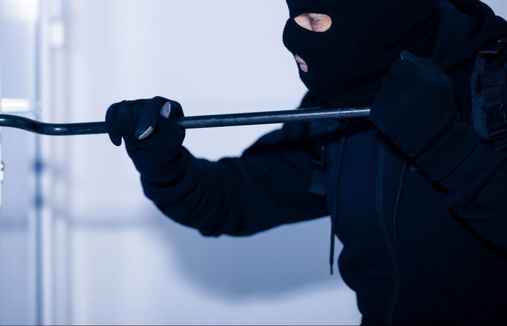 Φρίκη στο Πήλιο: Διαρρήκτες σκότωσαν με λοστό τον σκύλο φύλακα σπιτιού