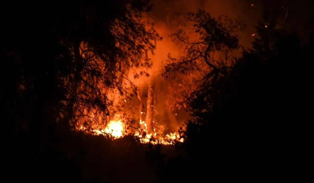 Ηλεία: Φωτιά ξέσπασε σε δασική έκταση στην περιοχή Αγία Μαρίνα