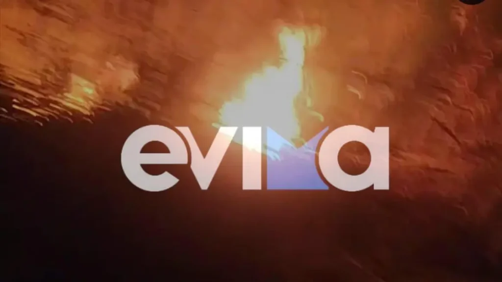 Νέα φωτιά ξέσπασε στην Εύβοια – Καίγονται καλαμιές στον Κάμπο των Ωρεών (βίντεο) 