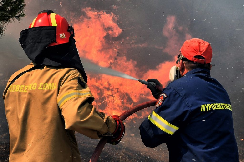 Ηλεία: Φωτιά σε δασική έκταση στο Kρυονέρι Αμαλιάδας
