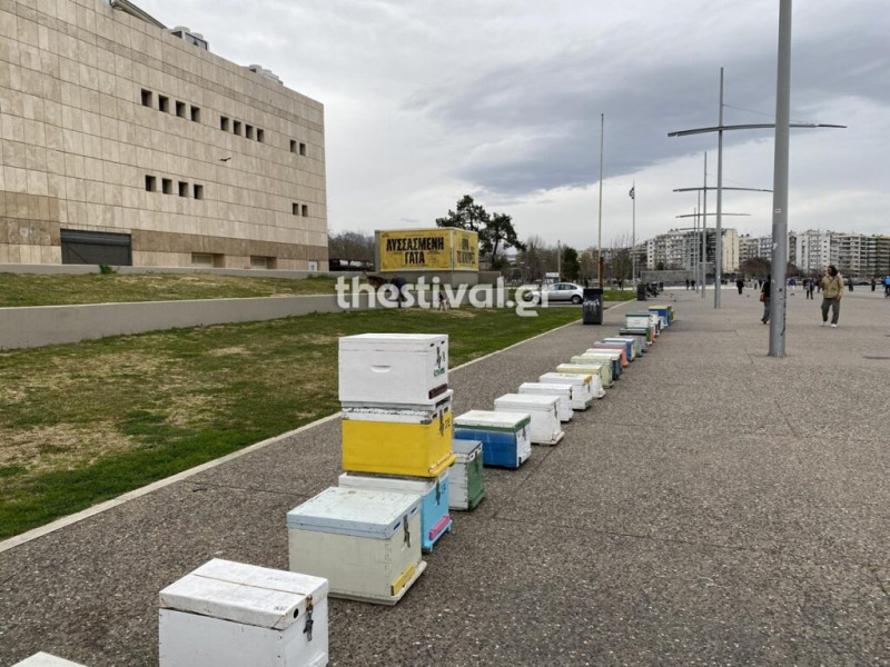 Στους δρόμους και οι μελισσοκόμοι: Έστησαν άδειες κυψέλες στη Νέα Παραλία Θεσσαλονίκης (φώτο-βίντεο)